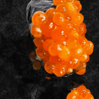 Best Salmon Roe (Ikura) in Madison, MS